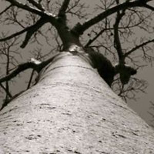 fadouabendefa avatar