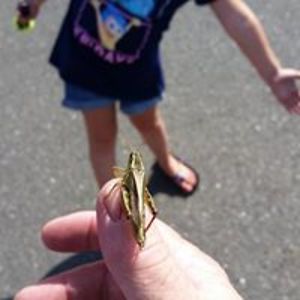 cterrancekelly avatar