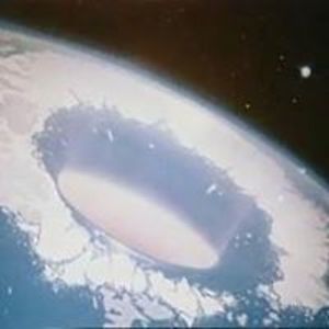 brumbollharding avatar