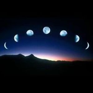 glynannepereira avatar