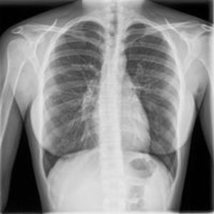 cvetek_marjetek avatar