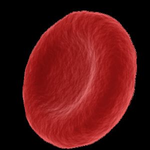 fatimaalkaabi avatar