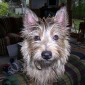 kevin-donegan avatar