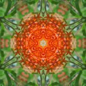 honeywoodfarm avatar