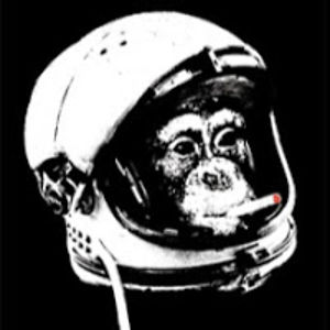 robertpaulson avatar