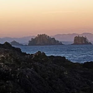 hedvigullrich avatar