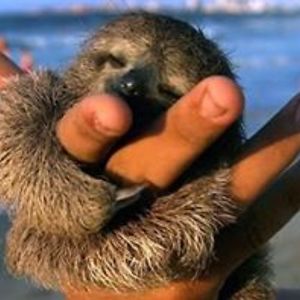 bridgetwhitney avatar