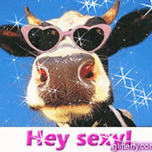 antoinette_braat avatar