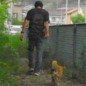 ryoiryoryoiryo avatar