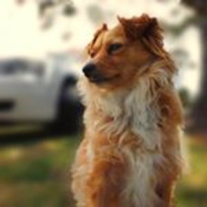 peteandoreen1 avatar