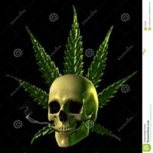 neelacchatayan avatar