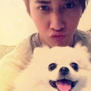 swaadoracionladios avatar