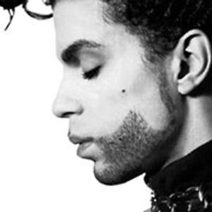 kristinadamnjanovic avatar