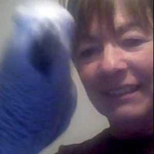 skylight99etyword_2000 avatar