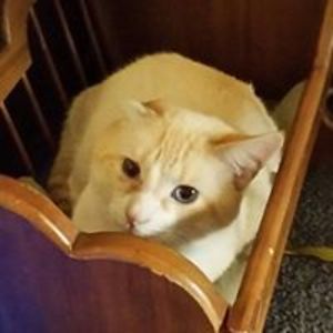 sheriboller1957 avatar