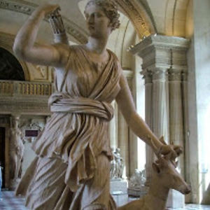 paramitavadhahong avatar