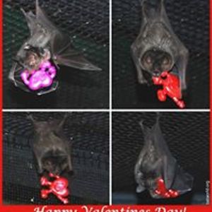 britton_jayne3 avatar