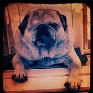 liesvanderholst avatar