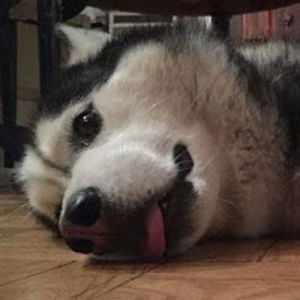 lewiskaminskilemikam avatar