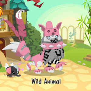 playwild avatar