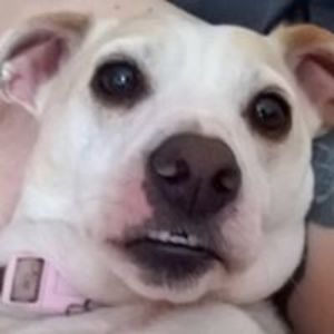 paul_wilson2810 avatar