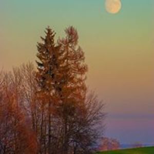 penelope_g_peck avatar