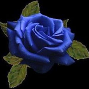 daniela_ostone avatar