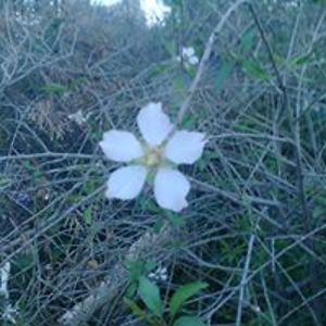 claireghethan1981 avatar