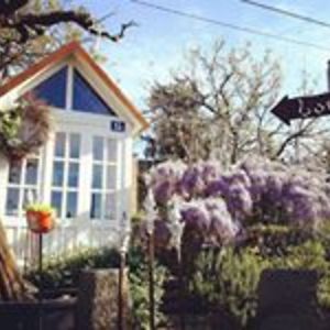 n_didebashvili avatar