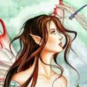 lisamuehlbauer avatar