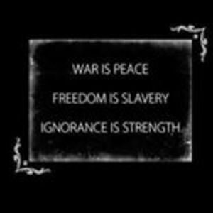 daniele_verbena avatar