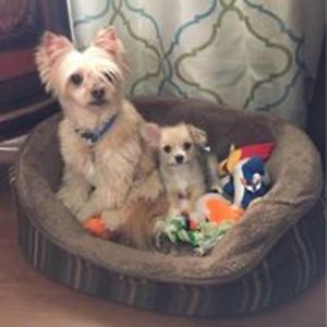 janicebranham50 avatar