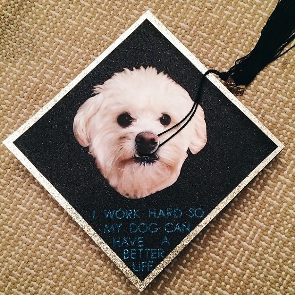Funny Graduation Caps