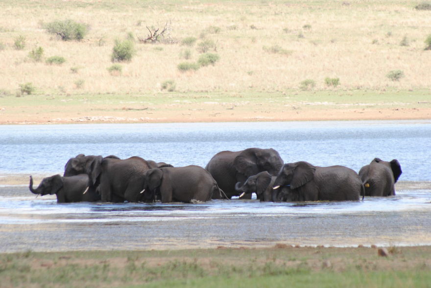 My Photographic Journey - Wildlife Of South Africa My Photographic Journey - Wildlife Of South Africa