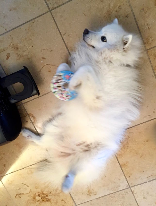 Aichan's Musical Skills