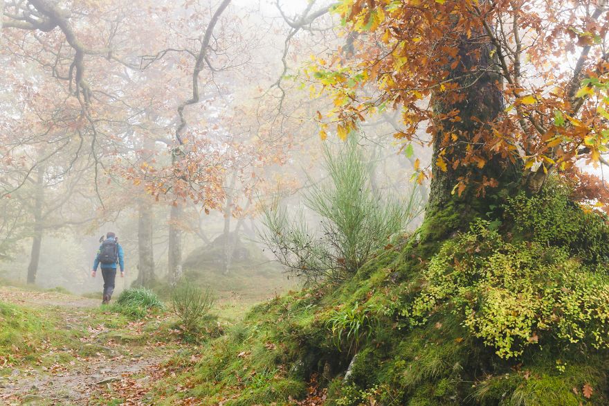 I Photographed The Glorious Autumn Landscapes Of The Lake District, Uk I Photographed The Glorious Autumn Landscapes Of The Lake District, Uk
