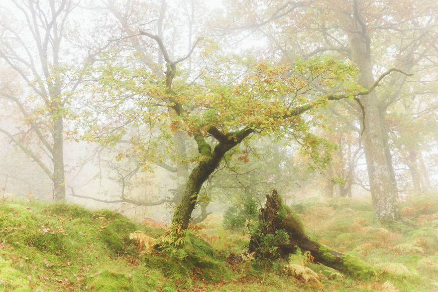 I Photographed The Glorious Autumn Landscapes Of The Lake District, Uk I Photographed The Glorious Autumn Landscapes Of The Lake District, Uk