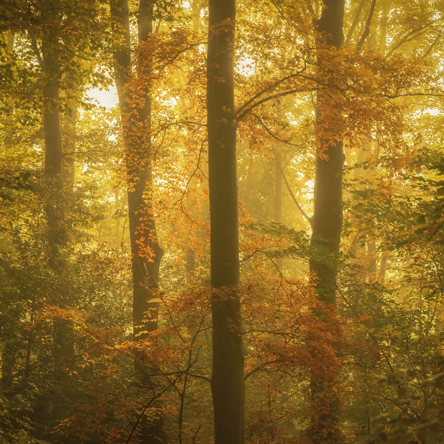 I Photographed The Glorious Autumn Landscapes Of The Lake District, Uk I Photographed The Glorious Autumn Landscapes Of The Lake District, Uk