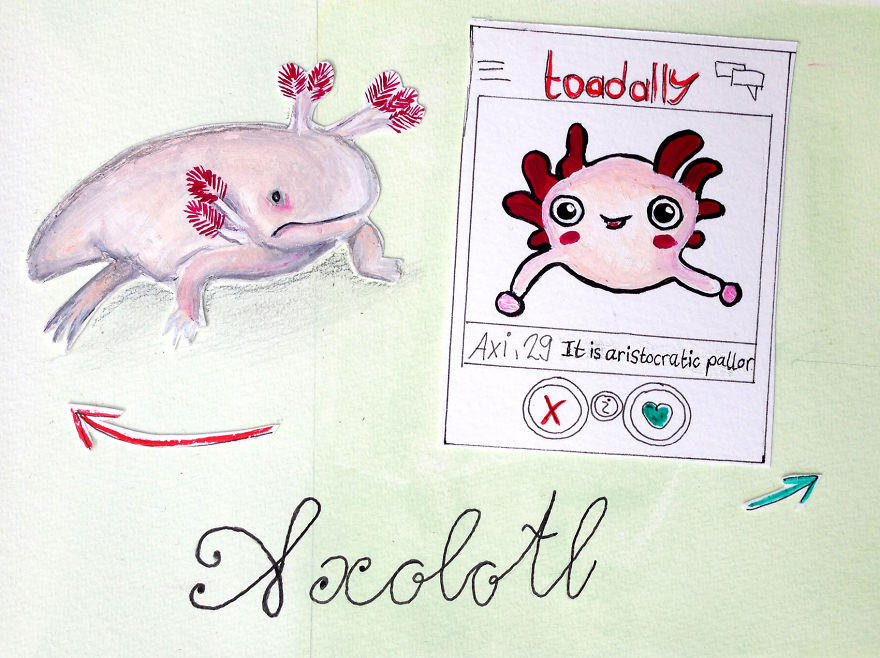I Made 11 Ugly Animals Look Super Cute On Their Online Dating Profiles
