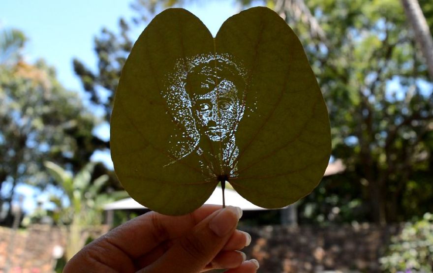 I Create Detailed Portraits On Leaves By Making Tiny Holes