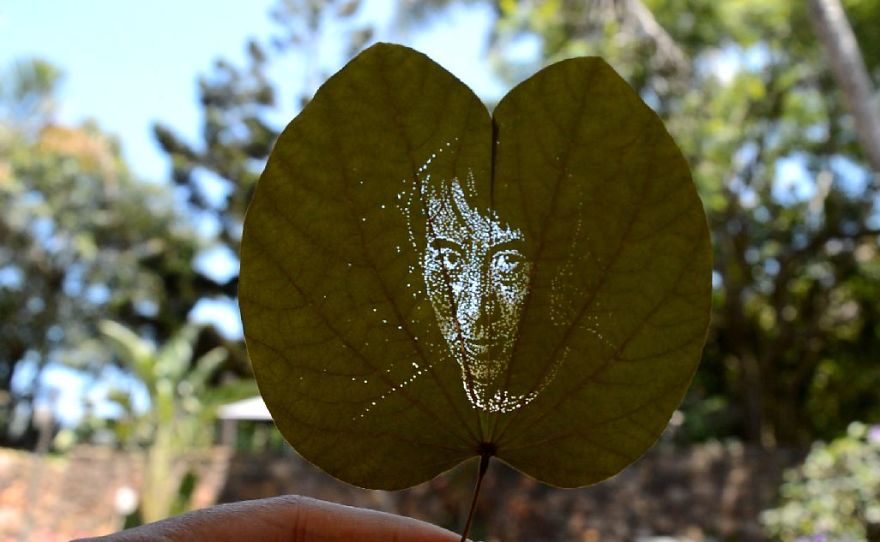 I Create Detailed Portraits On Leaves By Making Tiny Holes