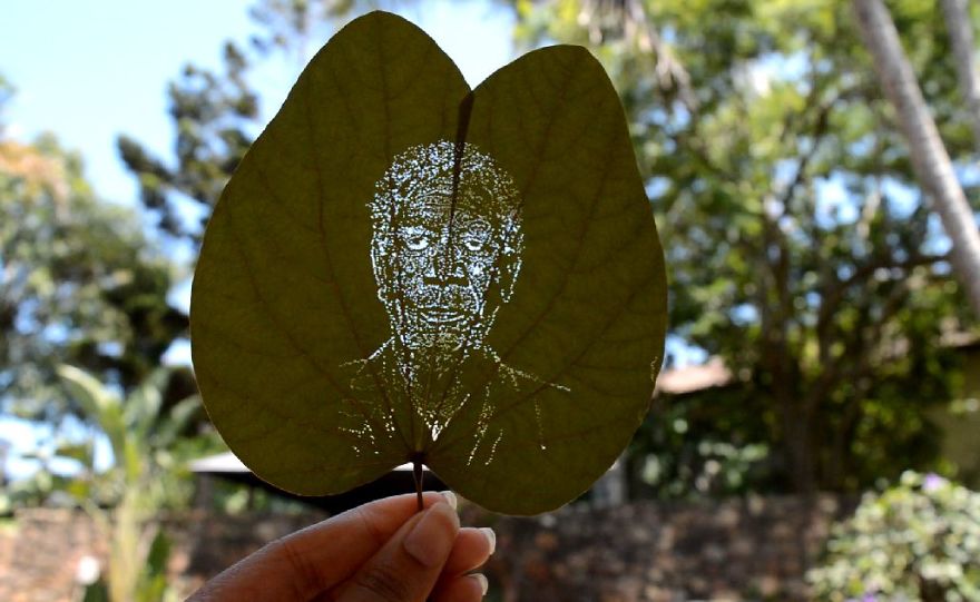 I Create Detailed Portraits On Leaves By Making Tiny Holes
