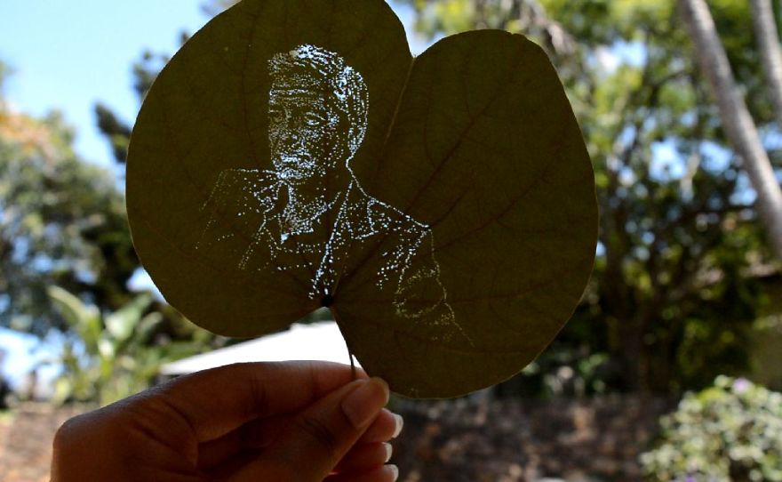 I Create Detailed Portraits On Leaves By Making Tiny Holes
