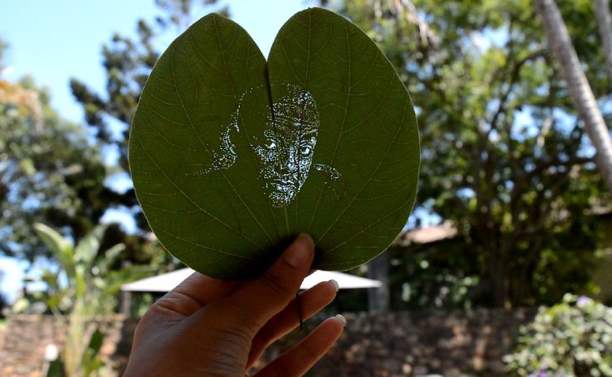 I Create Detailed Portraits On Leaves By Making Tiny Holes