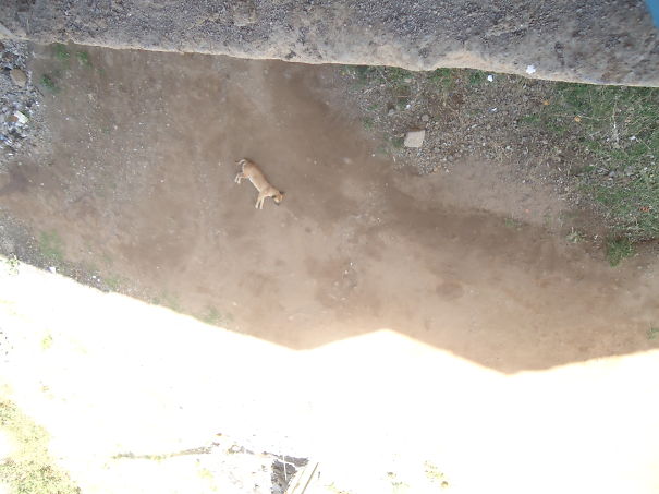 I Think It's Sleeping