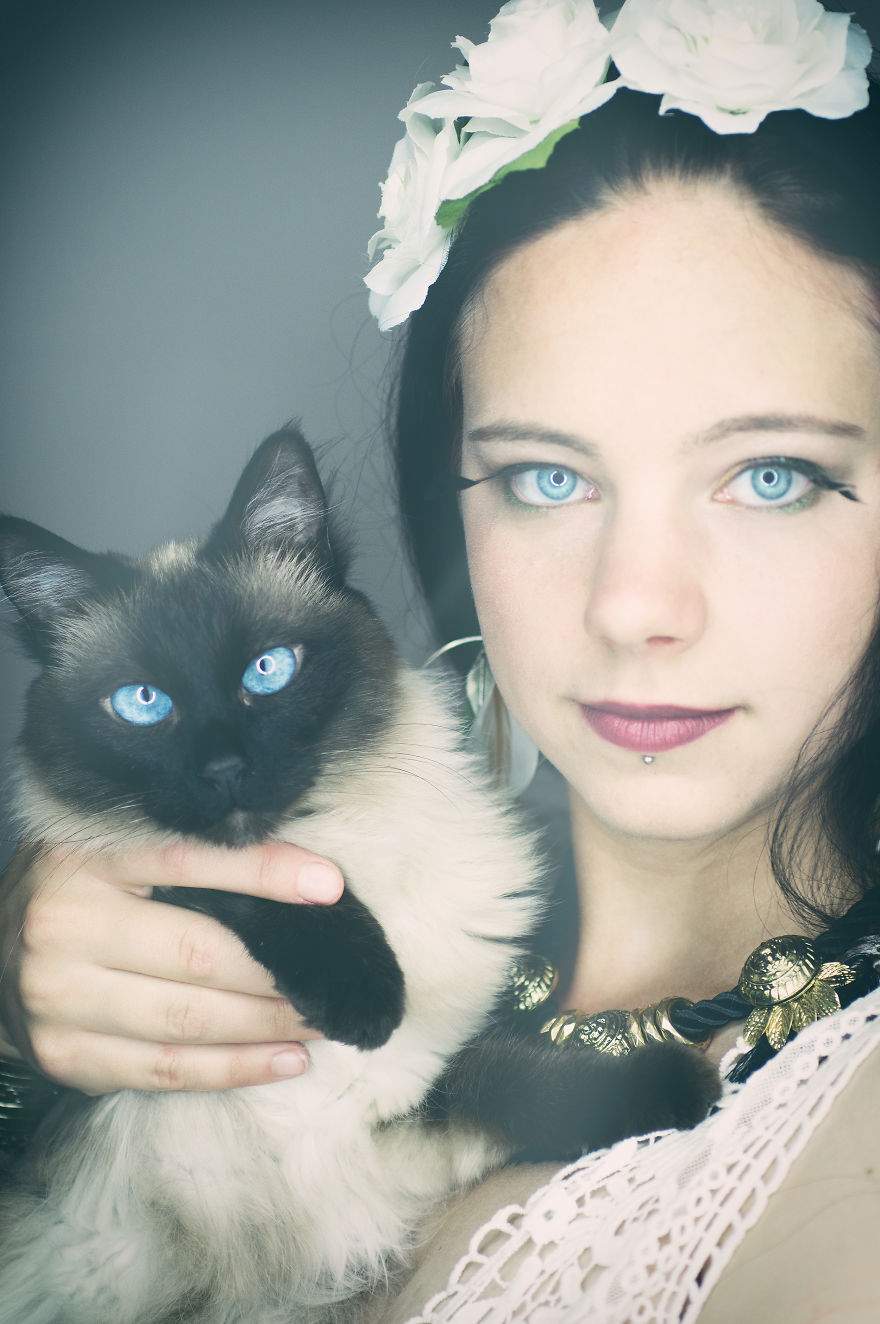 I Take Portraits Of Cats Showing Their Unique Characters