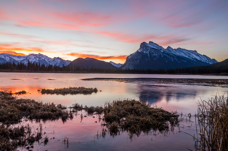 I'm Exploring My New Home, Canada, Through Photography I'm Exploring My New Home, Canada, Through Photography