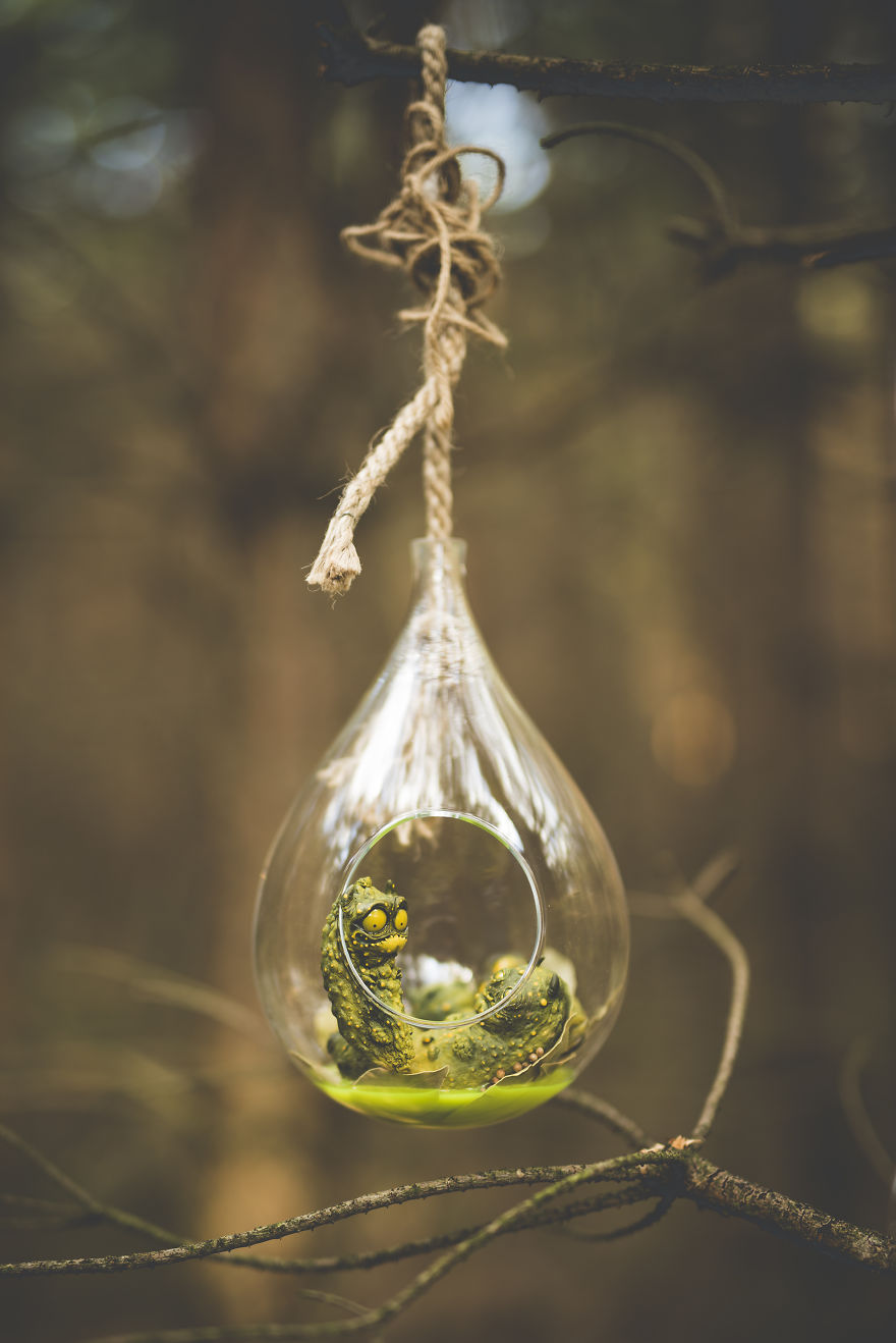 We Made Witch’s Cucumbers