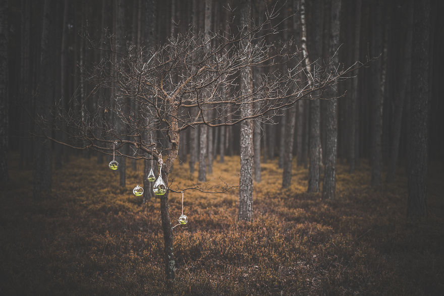 We Made Witch’s Cucumbers