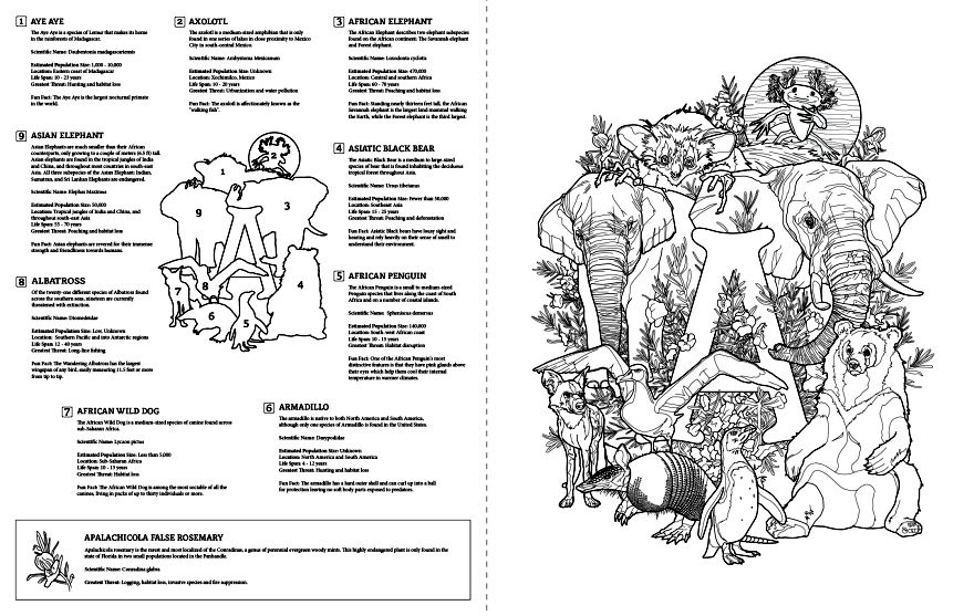 I Will Draw 124 Endangered Animals For My Coloring Book: E Is For Endangered.